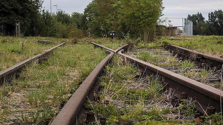 Endstation für die Steigerwaldbahn?       -  Für Züge inzwischen unpassierbar: die alte Bahntrasse in Lülsfeld. Nun wird die Gemeinde einen Antrag auf Entwidmung des Bahngrundstücks stellen.