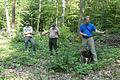 Bei der Infotour durch den heimischen Wald informierten der neue Förster Florian Seubert, Reinhold Landgraf und Forstdirektor Hubert Türich die Ratsmitglieder (von links).       -  Bei der Infotour durch den heimischen Wald informierten der neue Förster Florian Seubert, Reinhold Landgraf und Forstdirektor Hubert Türich die Ratsmitglieder (von links).