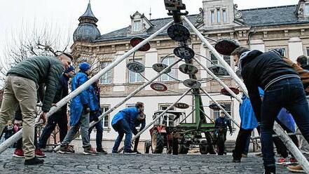 Mit vereinten Kräften wurde am Samstag am Eltmanner Marktplatz der Narrenbaum errichtet, der mit seinen Schildern auf die verschiedenen Faschingsveranstaltungen in der Wallburgstadt hinweist.