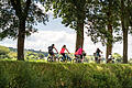 Drei Radwege im und um den Landkreis Bad Kissingen habe es in die Top 100 geschafft.       -  Drei Radwege im und um den Landkreis Bad Kissingen habe es in die Top 100 geschafft.