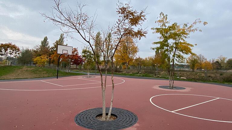 Auf dem Basketballfeld in der neu gestalteten Carus Allee in Schweinfurt umdribbelt man nicht nur Gegnerinnen und Gegner, sondern auch Bäume. Auf dem Basketballfeld in der neu gestalteten Carus Allee in Schweinfurt umdribbelt man nicht nur Gegnerinnen und Gegner, sondern auch Bäume.
