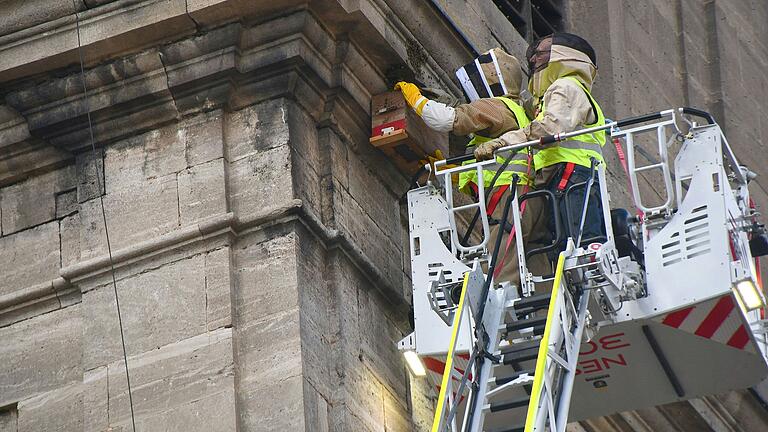 Bienen einsammeln in 12 Metern Höhe:&nbsp; Einen Einsatz hatten Otto Jahrsdörfer (rechts) und Christian Moritz am Samstagnachmittag an der Pfarrkirche in Bad Neustadt.&nbsp;
