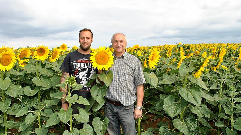 Landwirt Egon Mauer (rechts) und Ortsobmann Yari Schlembach inspizieren ein Sonnenblumenfeld auf Aubstädter Flur.