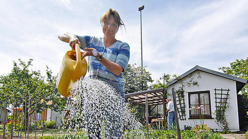 Ohne Gießkanne läuft nichts in diesem Frühling. Im Gegensatz zu Barbara Lipp in unserem Beispielsbild, die ihre Beete mit 'legalem Wasser' benetzt, sind einige Gartenfreunde im Haßgau der Versuchung erlegen, sich illegal kostenloses Wasser aus Hydranten zu zapfen. Ohne Gießkanne läuft nichts in diesem Frühling. Im Gegensatz zu Barbara Lipp in unserem Beispielsbild, die ihre Beete mit 'legalem Wasser' benetzt, sind einige Gartenfreunde im Haßgau der Versuchung erlegen, sich illegal kostenloses Wasser aus Hydranten zu zapfen.