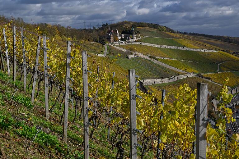 Inmitten der bunten Weinberge thront die Steinburg über der Stadt Würzburg. Inmitten der bunten Weinberge thront die Steinburg über der Stadt Würzburg.