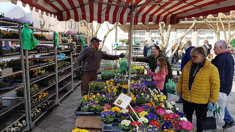 Frühlingsgefühle: Ein breites Angebot an Frühjahrsbepflanzung ergänzte die gute Stimmung beim 'Mellerschter Frühlings' durch das Bilderbuchwetter.