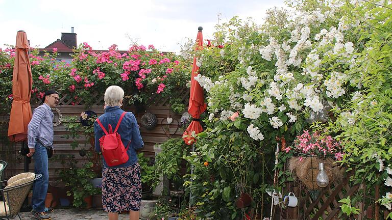 Bei Brigitte Hohmann umrahmen üppige Ramblerrosen die Terrasse.       -  Bei Brigitte Hohmann umrahmen üppige Ramblerrosen die Terrasse.