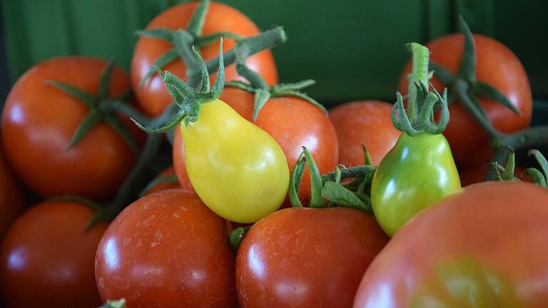 Gemüse des Monats: Tomaten - von wegen treulos!