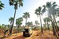 Mit ihrem VW-Bus durchqueren die Sommerhäuser Jasmin und Michael Furkel seit Monaten den Nord-Westen Afrikas.