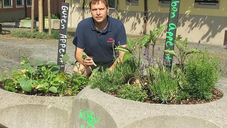 Die Kräuter und Gewürze der Naschstadt Gerolzhofen will Stadtgärtner Andre Ditterich auch heuer wieder pflanzen lassen. Die Kräuter und Gewürze der Naschstadt Gerolzhofen will Stadtgärtner Andre Ditterich auch heuer wieder pflanzen lassen.