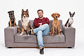 Martin Rütter im Interview: 'Wenn dieser Rütter kommt, ist der Hund dann irgendwie anders'