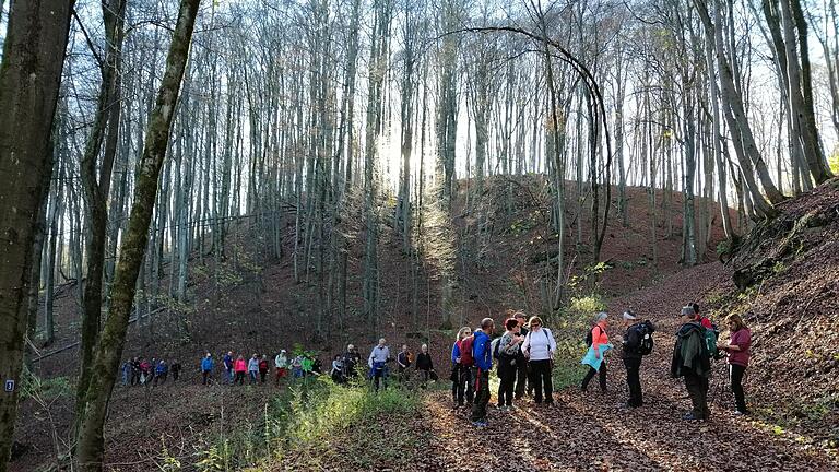 Bestes Rhöner Wanderwetter mit blauem Himmel, eine große fröhliche Wandergruppe und eine schöne Strecke, das waren die besten Komponenten für einen gelungenen Sonntagsausflug. Die Aufnahme entstand zwischen Schafweg und Kreuzbergschanze, wo der Weg die Kniebreche kreuzt.