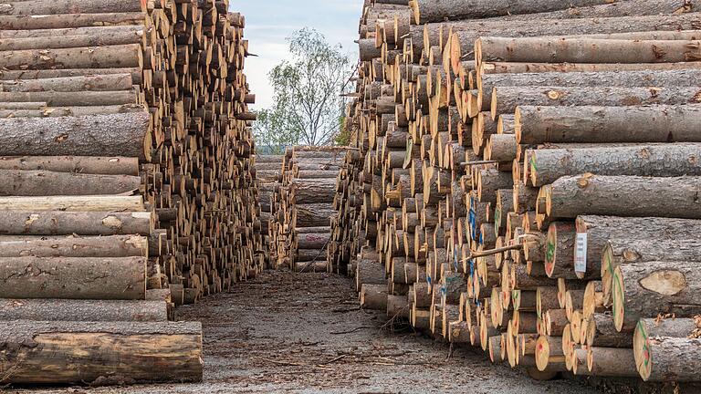 Über den Schadholzanfall, überwiegend durch den Borkenkäfer, informierte Revierleiter Johannes Pietron den Karsbacher Gemeinderat. Um das befallenen Holz möglichst schnell aus dem Wald abzutransportieren, wurde in der Nähe des Sodenberges ein Zwischenlager errichtet.