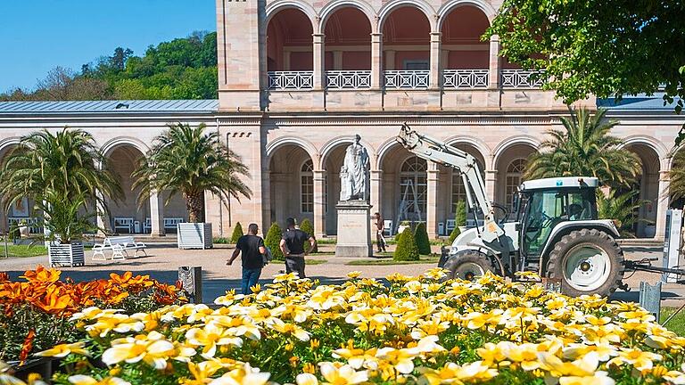 Sommerbepflanzung 2024       -  Sommerbepflanzung 2024 in Bad Kissingen