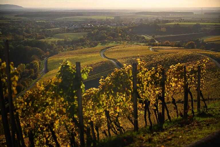 Schon auf halbe Höhe ist die Aussicht vom Stollberg einzigartig. Schon auf halbe Höhe ist die Aussicht vom Stollberg einzigartig.