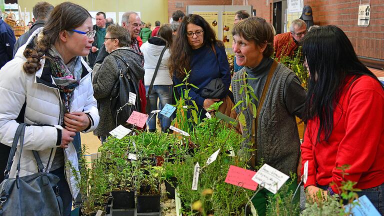 Pflanzen gab es natürlich bei der vierten Saatgut-Messe in Laudenbach.