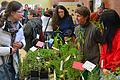 Pflanzen gab es natürlich bei der vierten Saatgut-Messe in Laudenbach.