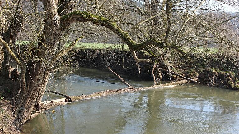 Die Fränkische Saale im Landkreis Bad Kissingen bei Großenbrach.