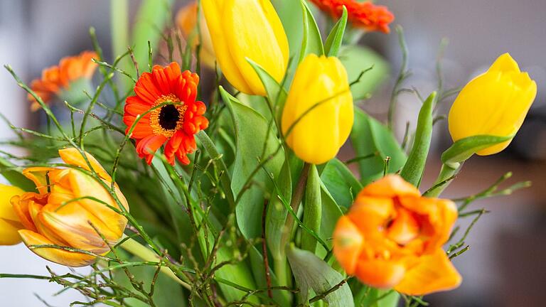 Blumenstrauß.jpeg       -  Mit einem frischen Strauß Schnittblumen kann man im Alltag eine kleine Freude machen.