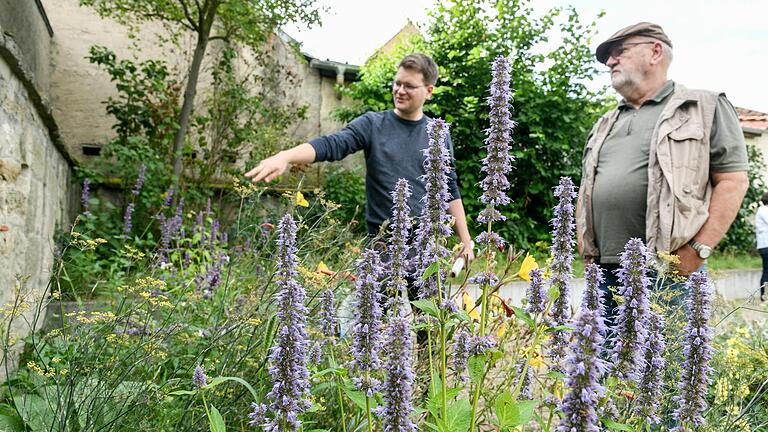 Der Wildlebensraumberater Jonas Renk (links) hat auf dem Arkardenfriedhof in Wiesenbronn (Lkr. Kitzingen) zusammen mit Heinrich Wilhelm von der Gemeinde eine grüne Oase der Ruhe geschaffen.