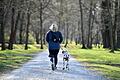 Spaziergang       -  Eine Frau geht im thüringischen Sondershausen mit einem Hund im Park spazieren.