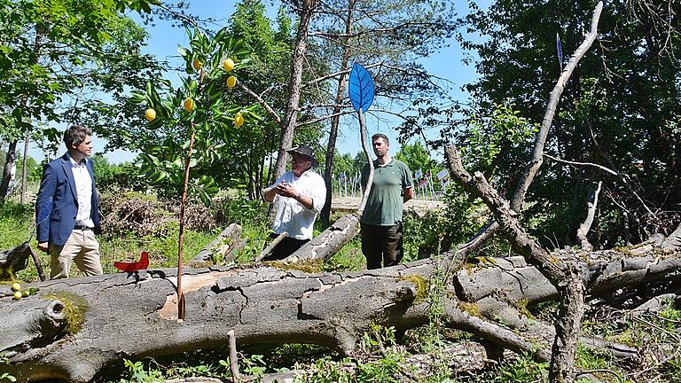 Der blaue Wald nennt sich das neueste Kunstobjekt von Jimmy Fell auf einer Fläche im Mellrichstädter Wald. Der Künstler stellte sein Projekt Mellrichstadts Bürgermeister Michael Kraus und Revierförster Michael Merkel vor.