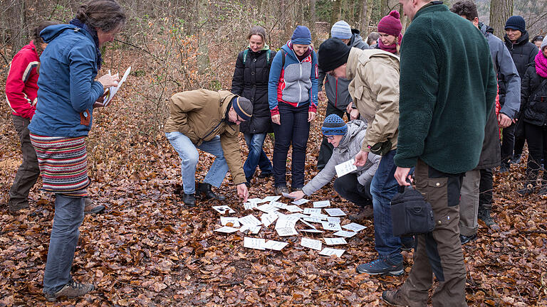 Wie man das Wissen über Raubkatzen an Kinder vermittelt, lernten Pädagogen und Lehrer anschaulich bei einer Fortbildung des Naturpark Spessart.