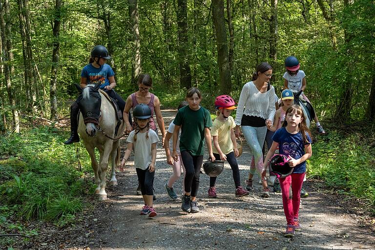 Gemeinsam geht es mit den Pferden durch den Steigerwald zwischen Michelau und Dingolshausen.