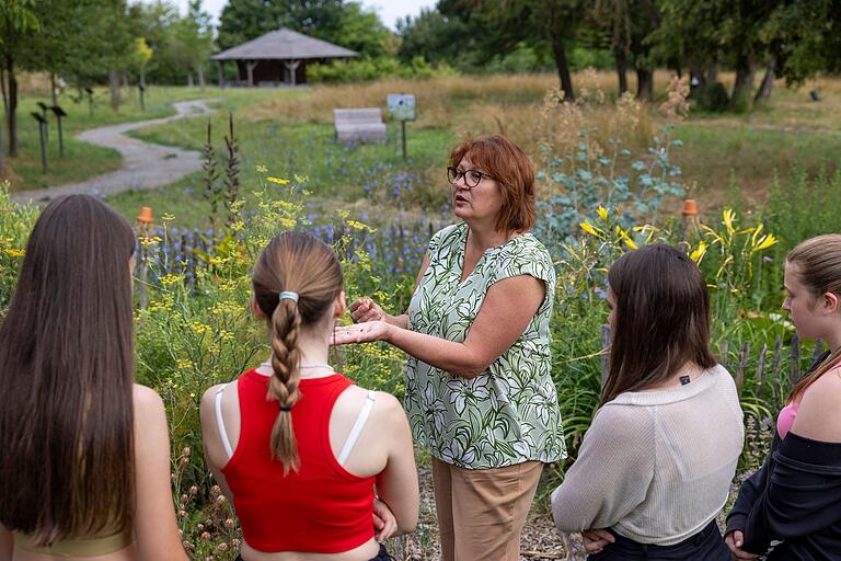 Auch Schulklassen nutzen den Kräutergarten für Praxisunterricht. Das Bild zeigt Lehrerin Barbara Stumpf (Mitte) mit Siebtklässlerinnen der Gerolzhöfer Realschule. Auch Schulklassen nutzen den Kräutergarten für Praxisunterricht. Das Bild zeigt Lehrerin Barbara Stumpf (Mitte) mit Siebtklässlerinnen der Gerolzhöfer Realschule.