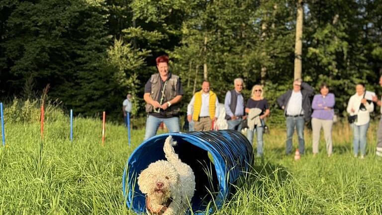 Unter anderem wurde von der Spende des Lions Clubs der „Tunnel“ für die Rettungshundestaffel angeschafft. Damit können die Hunde das Durchlaufen von dunklen Gängen trainieren.       -  Unter anderem wurde von der Spende des Lions Clubs der „Tunnel“ für die Rettungshundestaffel angeschafft. Damit können die Hunde das Durchlaufen von dunklen Gängen trainieren.