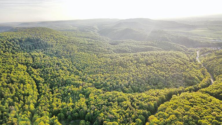 Tiefer Wald: Das Drohenauge blickt Richtung Südosten, rechts im Bild ist die Staatsstraße 2276 zwischen Zell und Oberschleichach zu erkennen. Noch vor der Ortschaft liegt rechts neben der Straße der Marswaldspielplatz, wo die 5-Sterne-Gemeinden ein Naturparkzentrum bauen wollen.