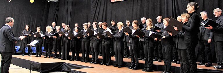 Anspruchsvolle Chorwerke aus der Zeit der Romantik bis hin zur Gegenwart bot am Sonntag der Chor ViaVicis unter Leitung von Hubert Hoche.