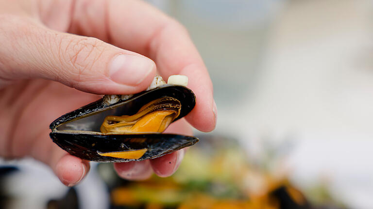 Restaurant_Lord_of_Mussels_Deutschland.jpg       -  Die Miesmuscheln sind in Köln los. Welche Restaurantkette dort bald deutschlandweit ihre erste Filiale öffnet.