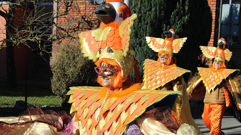 Jede Menge einzigartige Kostüme bot der kleine Rosenmontagsumzug in Burgsinn