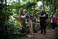 Die Titanenwurz, die größte Blume der Welt, blüht gerade zum ersten Mal im Botanischen Garten in Würzburg. Allerdings nur für kurze Zeit. Am Freitag ist der Besucherandrang groß.