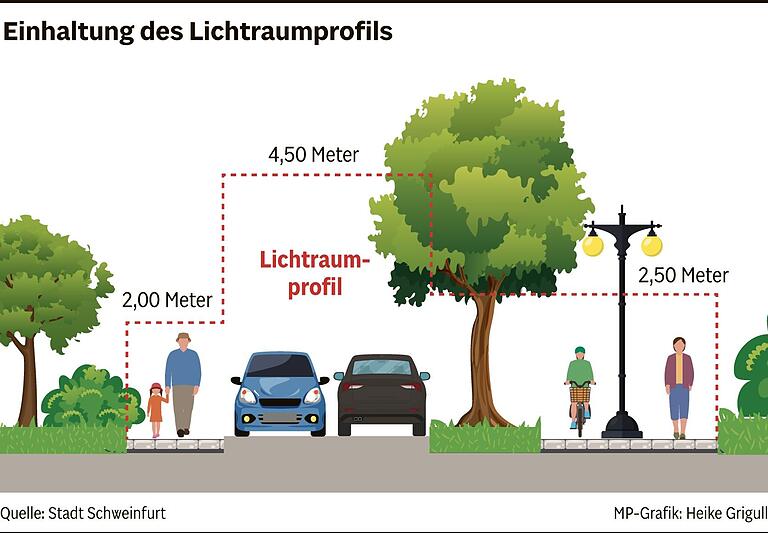 Wenn das Laub vom Nachbarsbaum die eigene Straße verschmutzt, hilft oft nur eines: selbst zum Besen greifen