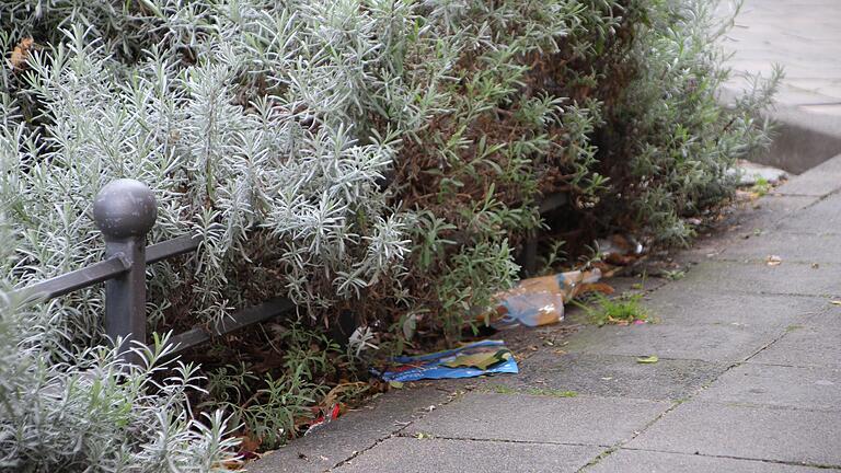 In der Alten Burgstraße in Kitzingen sammelt sich der Dreck unter dem Gebüsch. In der Alten Burgstraße in Kitzingen sammelt sich der Dreck unter dem Gebüsch.