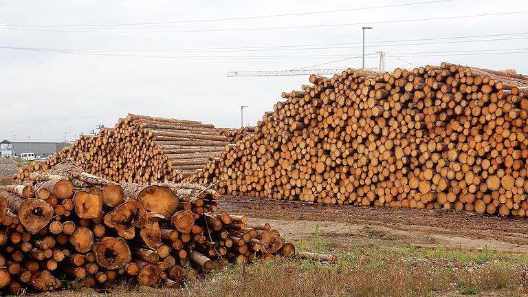 Meterhoch türmt sich das Käferholz aus dem Stadtwald im Industrie- und Gewerbepark Maintal.