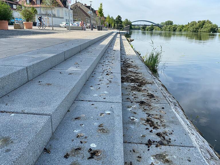 An trockenen Sommertagen spült weder Regen noch Mainwasser die Hinterlassenschaften von den Stufen.&nbsp;