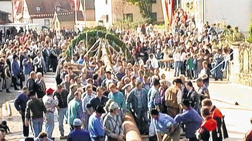 Hau ruck: Das Aufstellen des Planbaums in Rannungen ist die Sache gestandener Männer. Hau ruck: Das Aufstellen des Planbaums in Rannungen ist die Sache gestandener Männer.