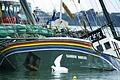 Rainbow Warrior in Auckland versenkt       -  Terrorakt: Vor 30 Jahren haben französische Agenten die &bdquo;Rainbow Warrior&ldquo; im Hafen von Auckland versenkt.