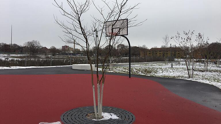 Skurril: Bäume mitten auf dem Basketballfeld in der Carus Allee in der Ledward-Kaserne. Bereits im Januar entstand dieses Bild, erst jetzt kam der Komiker Mario Barth auf das Thema. Skurril: Bäume mitten auf dem Basketballfeld in der Carus Allee in der Ledward-Kaserne. Bereits im Januar entstand dieses Bild, erst jetzt kam der Komiker Mario Barth auf das Thema.