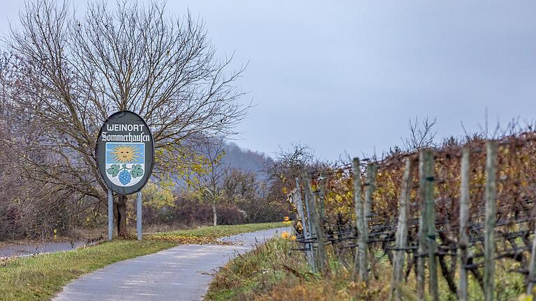 Eine Wanderung über die Weinberge Unterfrankens gehört zu den schönsten Ausflügen, die man in der kühlen Jahreszeit machen kann. Eine Wanderung über die Weinberge Unterfrankens gehört zu den schönsten Ausflügen, die man in der kühlen Jahreszeit machen kann.