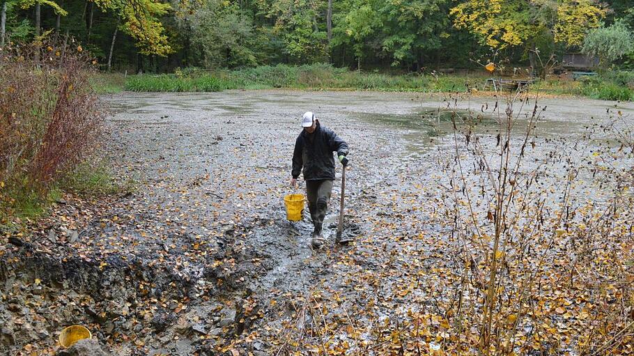 Nicht ganz ungefährlich: Im tiefen Schlick des Rannunger Sees waten und nach überlebenden Fischen und Teichmuscheln Ausschau halten. Eine Firma wird den Schlamm-Aushub auf den Feldern verteilen. Bis Februar 2018 soll alles fertig sein. Foto: Isolde Krapf       -  Nicht ganz ungefährlich: Im tiefen Schlick des Rannunger Sees waten und nach überlebenden Fischen und Teichmuscheln Ausschau halten. Eine Firma wird den Schlamm-Aushub auf den Feldern verteilen. Bis Februar 2018 soll alles fertig sein. Foto: Isolde Krapf