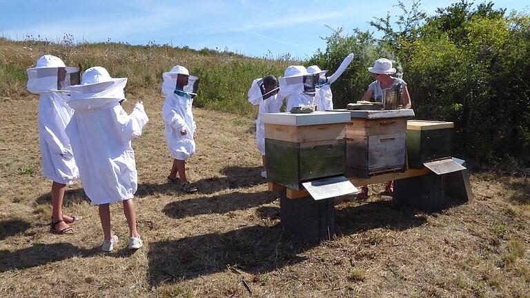 Spaß haben und Neues lernen: Die Gemeinden bieten auch in diesem Jahr wieder ein vielfältiges Ferienpassprogramm. Das Archivbild zeigt die Dettelbacher Ferienpasskinder, die mit der LBV-Ortsgruppe 2020 eine Imkerin besuchten.&nbsp;