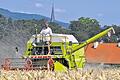 Der Landwirt als Nahrungsmittelproduzent: Im Bild Richard Mack (Happertshausen) bei der Getreideernte im vergangenen Jahr. Aber Landwirte leisten mehr &ndash; das soll das von den Vereinten Nationen ausgerufene &bdquo;Internationale Jahr der bäuerlichen Familienbetriebe&ldquo; vermitteln.
