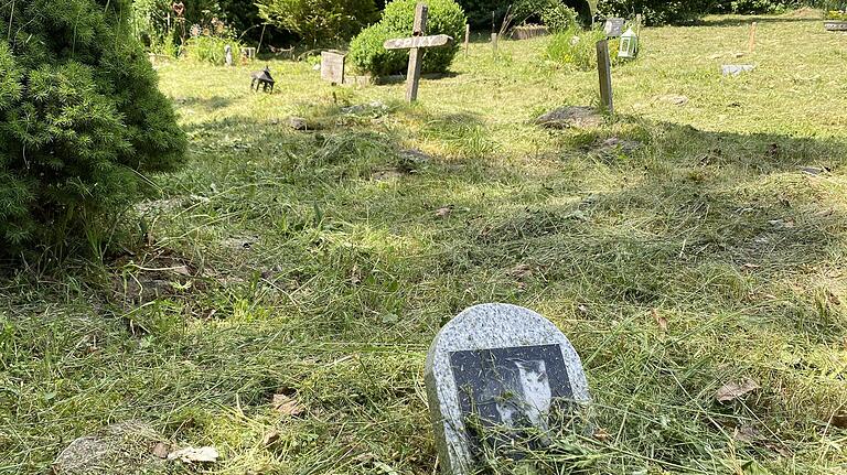 Die verendeten Tiere werden auf dem Tierfriedhof der Wannigsmühle beerdigt. Die verendeten Tiere werden auf dem Tierfriedhof der Wannigsmühle beerdigt.