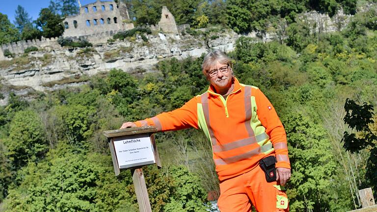 Stadtgärtner Klaus Lankes hat vorerst ein Provisorium angebracht. Das ursprüngliche Schild an der Lehmfläche fiel offenbar Vandalismus zum Opfer.