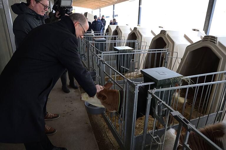 Streicheleinheiten für das Kälbchen: Bischof Dr. Franz Jung beim Besuch auf dem Milchbetrieb der Brüder Scheiner.