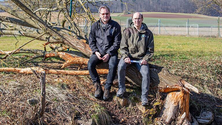 Am Riedgraben hat ein Biber einen Baumstamm gefällt. Auf diesem sitzen Förster Martin Volkmann-Gebhardt (links) und Biberberater Gerd Reimer.
